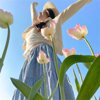 神秘女王蜂